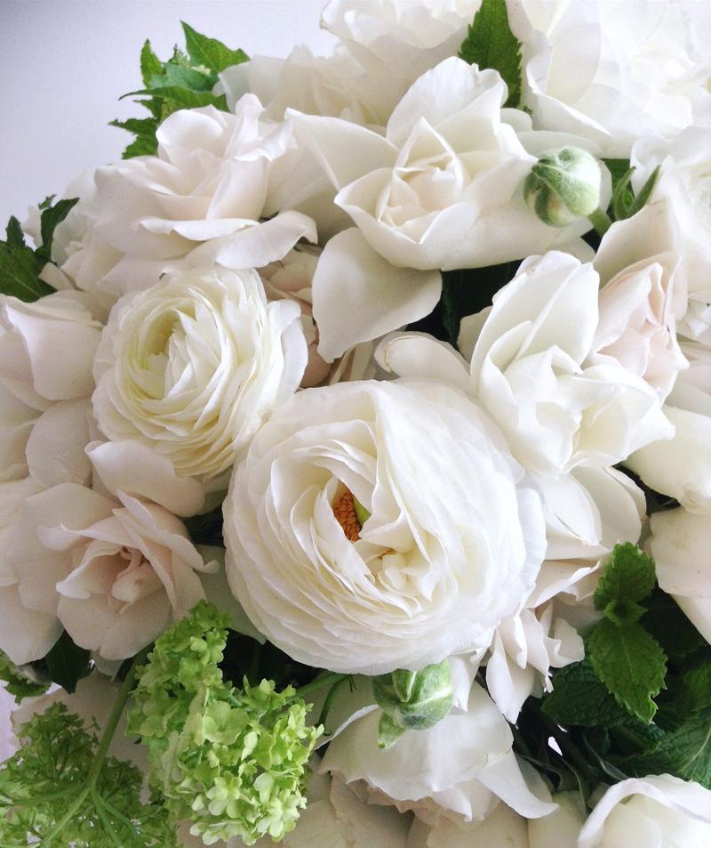 Detalle de flores blancas y follaje verde